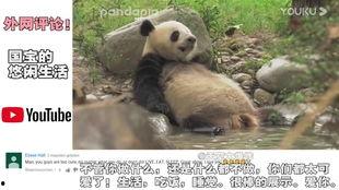 熊猫啤酒爆料是真的吗视频,真相究竟如何? 第3张 熊猫啤酒爆料是真的吗视频,真相究竟如何? 第3张